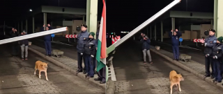 Illustration de l'article : Un chien errant traverse symboliquement un poste-frontière en pionnier sous les applaudissements des gardes (vidéo)