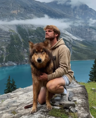 Illustration de l'article : Le voyage mémorable de Phoenix, chien-loup découvrant la beauté des paysages alpins (vidéo)