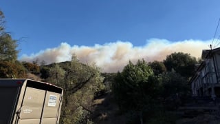 Illustration de l'article : Destinés à être brûlés vifs par les incendies, des centaines de chevaux sont sauvés in extremis par une jeune femme