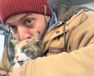 Illustration de l'article : Une jeune chatte errante s'offre une nouvelle vie en s'invitant à bord d'un tracteur (vidéo)