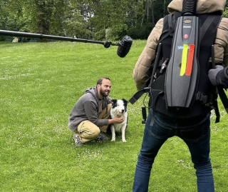 Illustration de l'article : Véritable star de cinéma, le chien connu pour son rôle dans Anatomie d’une chute est de retour sur les écrans dans la série culte Bref