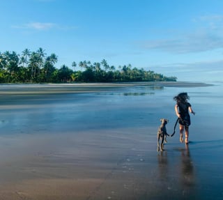 Illustration de l'article : 15 photos retraçant l’émouvant sauvetage de ce chien errant par une famille de touristes