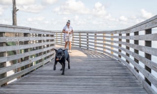 Illustration de l'article : Une ancienne militaire traumatisée par la guerre retrouve goût à la vie grâce à son chien d'assistance