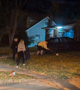 Illustration de l'article : Deux lapins abandonnés en plein hiver montrent à leurs sauveteurs à quel point ils sont liés 