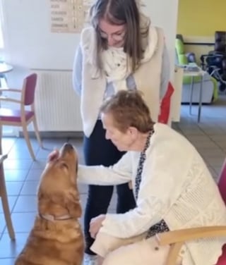 Illustration de l'article : Star d'un Ehpad, cette chienne suscite constamment sourires et bonne humeur parmi les personnes âgées qu'elle accompagne (vidéo)