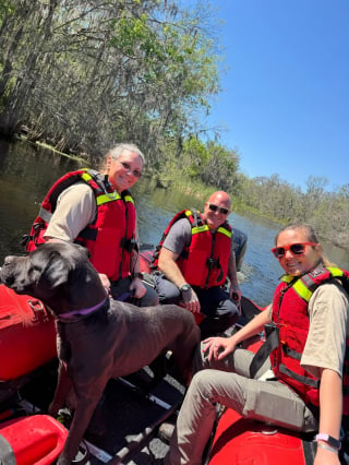 Illustration de l'article : Un chien introuvable depuis une semaine et coincé au bord d'une rivière est repéré par des passants juste à temps