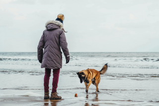 Illustration de l'article : 5 choses à éviter si vous ne voulez pas briser le cœur de votre chien