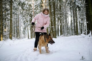 Illustration de l'article : 5 choses à éviter si vous ne voulez pas briser le cœur de votre chien