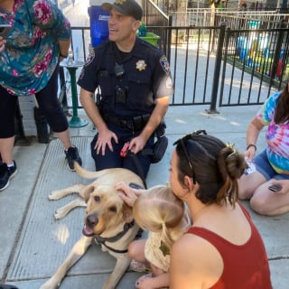 Illustration de l'article : Au commissariat où il réconforte les policiers stressés, un chien fait l'objet d'une enquête pleine d'humour après la découverte d'une peluche éventrée