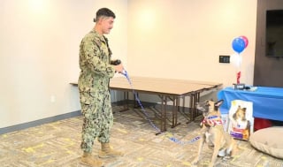 Illustration de l'article : Réformé de l’armée suite à une blessure, cet ancien chien militaire retrouve son ancien maître-chien après un an et demi de séparation