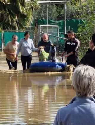 Illustration de l'article : L’eau monte dangereusement, bénévoles et pompiers s'engagent dans une course contre la montre pour évacuer 16 chiens piégés dans un refuge inondé