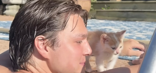 Illustration de l'article : Un couple en vacances qui n'a jamais eu l'intention d'avoir un chat change d'avis en rencontrant un chaton complètement trempé