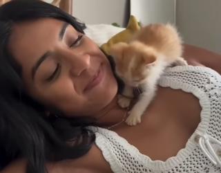 Illustration de l'article : Un couple en vacances qui n'a jamais eu l'intention d'avoir un chat change d'avis en rencontrant un chaton complètement trempé