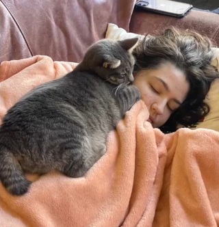 Illustration de l'article : Une chatte recherchée par sa famille et coincée dans un caniveau est retrouvée par des adolescents qui tentaient d'y récupérer leur balle