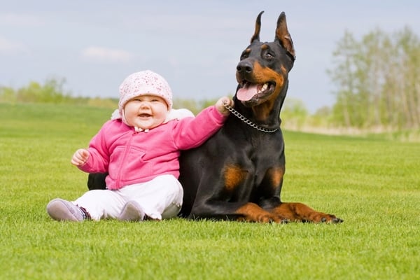 15 Adorables Photos De Chiens Et De Bebes Qui Ne Se Quitteraient Pour Rien Au Monde