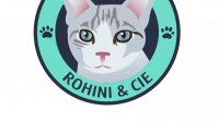 Illustration : "Rohini et Compagnie "