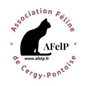 Illustration : "Association Féline de Cergy Pontoise - AFELP"