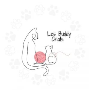 Illustration : "les buddy chats"