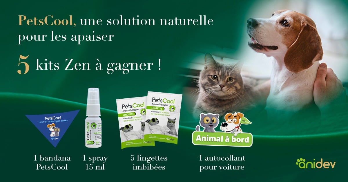 Jeu concours PetsCool du 17 juin au 07 juillet 2024