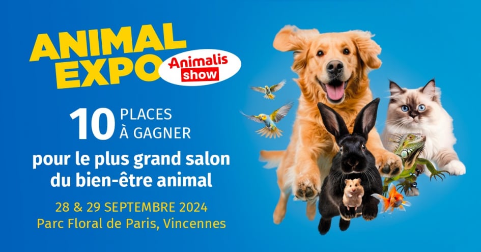 Illustration du jeu-concours Animal Expo