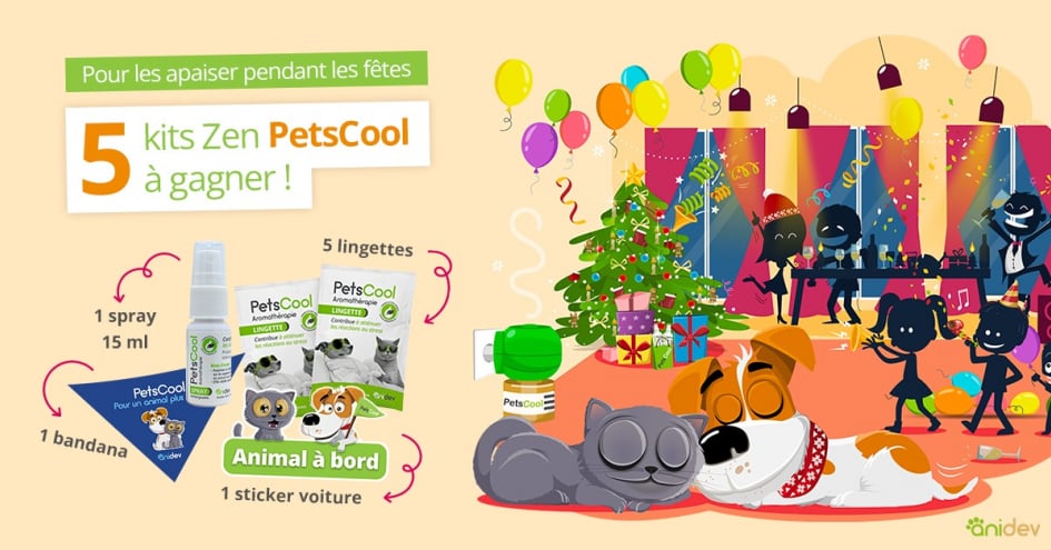 Illustration du jeu-concours PetsCool