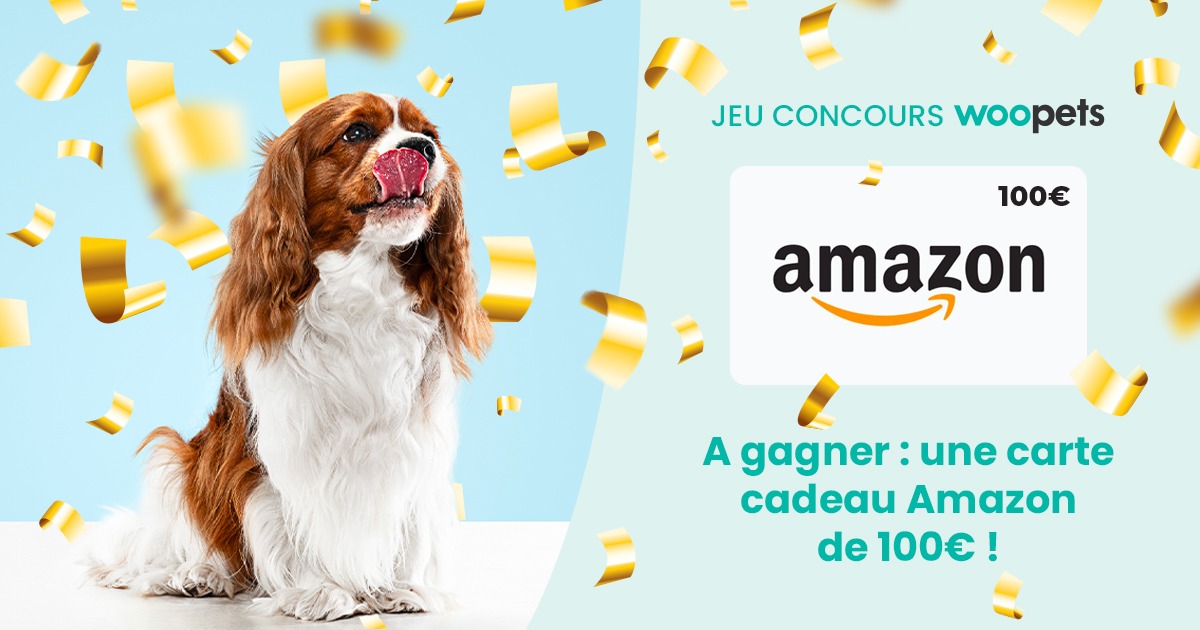 Jeu concours Woopets du 6 au 30 janvier 2025