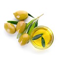 Illustration "Peut-on donner des olives et de l’huile d’olive à manger à son chien ?"