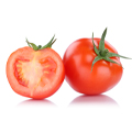 Illustration "Peut-on donner de la tomate à manger à son chat ? "