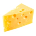 Illustration "Peut-on donner du fromage à manger à son chat ?"