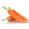 Illustration "Peut-on donner de la carotte à manger à son chat ?"