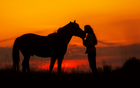 Illustration : "Comment gérer la mort de son cheval et faire son deuil ?"