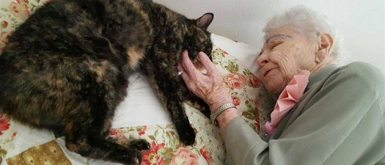 Un Chat Comme Plus Beau Cadeau Du Monde Pour Une Femme De 103 Ans