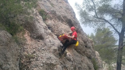 Illustration : Un chien fait une chute de 25 mètres dans le Massif de la Sainte-Victoire