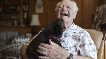 Illustration : A 104 ans, il retrouve le sourire grâce à un nouveau chien