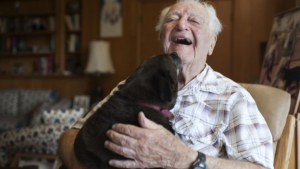 Illustration : A 104 ans, il retrouve le sourire grâce à un nouveau chien