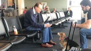 Illustration : Un Corgi voit un homme triste et en larmes dans un aéroport. Il s'échappe pour le aller le réconforter !