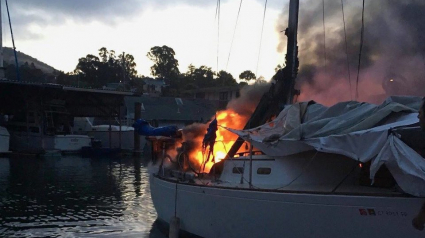 Illustration : Un chien coincé sur un bateau en feu est miraculeusement sauvé ! (Vidéo)