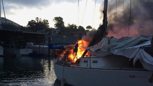 Illustration : Un chien coincé sur un bateau en feu est miraculeusement sauvé ! (Vidéo)