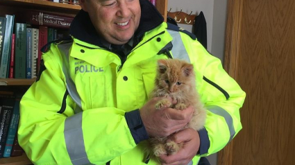 Illustration : Ce policier a sauvé un chaton pris au piège dans la glace au beau milieu de l’autoroute