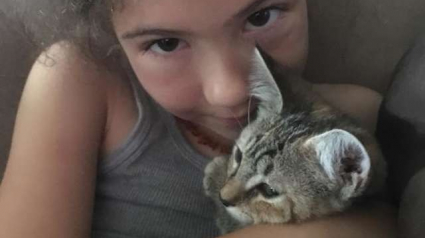 Illustration : Cette petite fille s’est liée d’amitié avec un chaton de sauvetage et n’a pu se résoudre à le laisser être adopté 