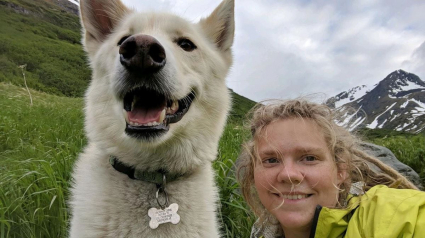 Illustration : Un chien sauve une randonneuse blessée près d'une rivière en Alaska !