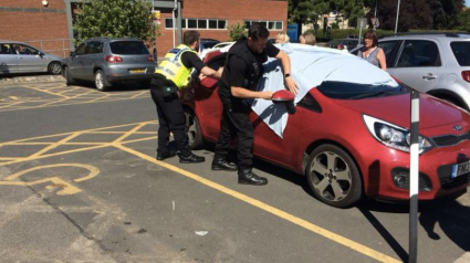 Illustration : Enfermés dans une voiture en plein soleil, 2 chiens ont été sauvés !