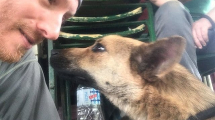 Illustration : 2 hommes font un trek de 12 heures pour sauver un chien pris dans un piège en pleine forêt !