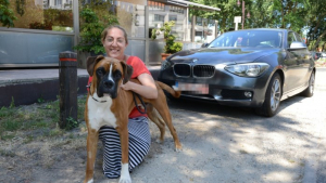 Illustration : Une gérante d’un bar sauve la vie d’un chien enfermé dans une voiture