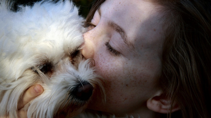 Illustration : Se faire lécher le visage par votre chien, bonne ou mauvaise idée ?