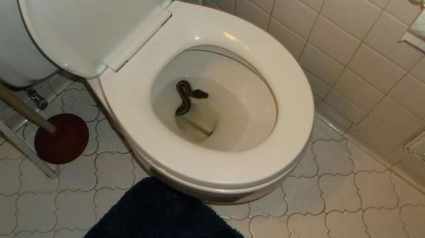 Illustration : Un homme découvre un serpent au fond de ses toilettes