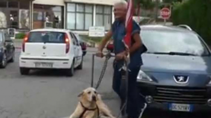 Illustration : (Vidéo) Un homme âgé entièrement dévoué à son chien incapable de marcher