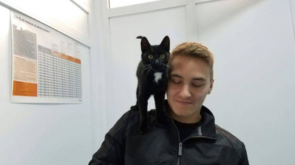 Illustration : Un soldat en mission à l’étranger rencontre un chat et le ramène avec lui