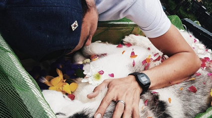 Illustration : Un jeune homme perd son chien et partage sa douleur avec le monde entier