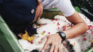 Illustration : Un jeune homme perd son chien et partage sa douleur avec le monde entier